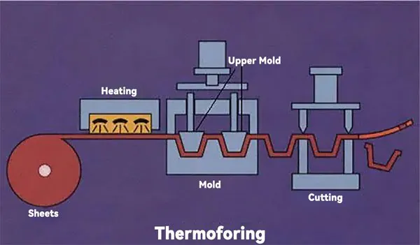 Thermoforming process steps overview